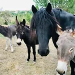 La Maison Melomane 10 Personnes Saussens