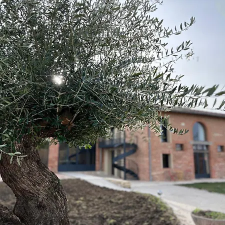 La Maison Melomane 10 Personnes * Saussens