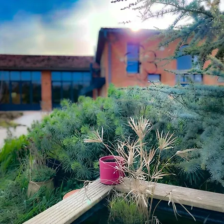 Dom wakacyjny La Maison Melomane 10 Personnes Saussens