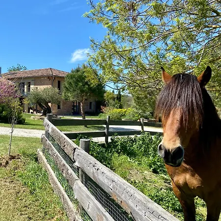 La Maison Melomane 10 Personnes Saussens